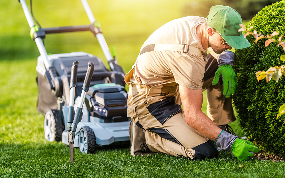 Angel Lawn Service